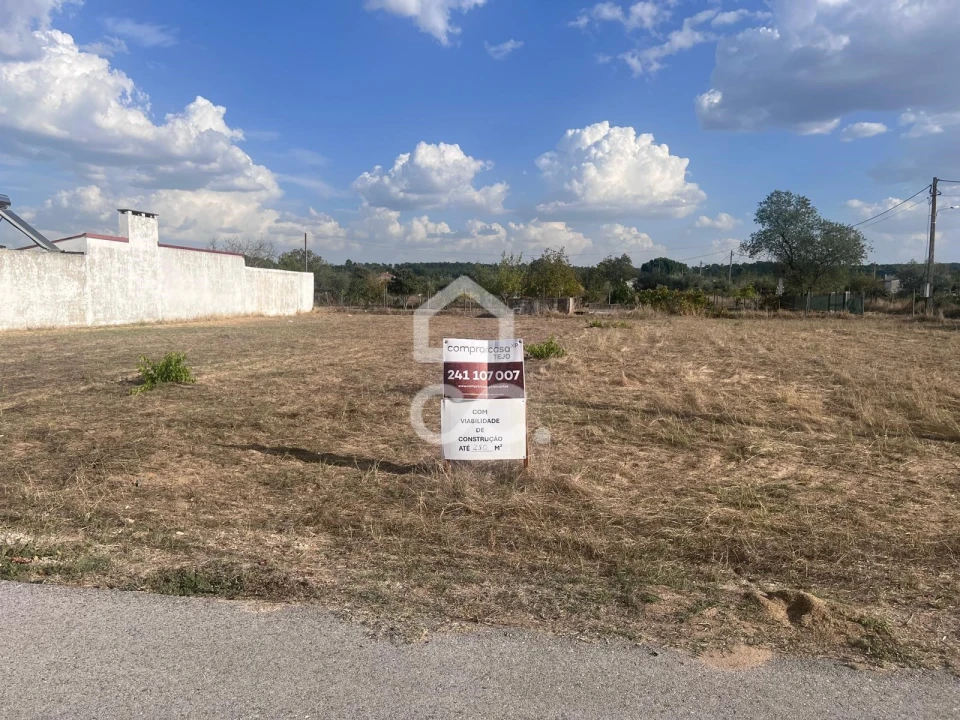 Terreno para Venda em São Miguel do Rio Torto e Rossio Ao Sul do Tejo Foto 4