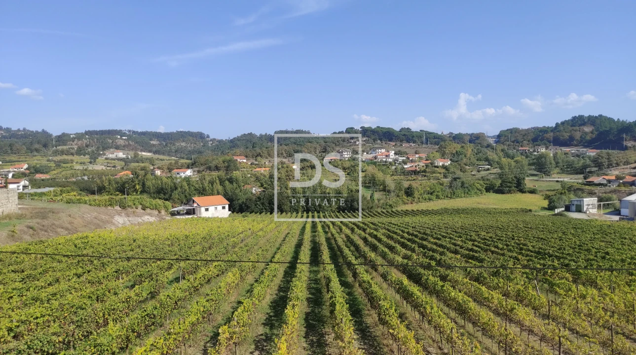 Terreno para Venda em Telões Foto 4