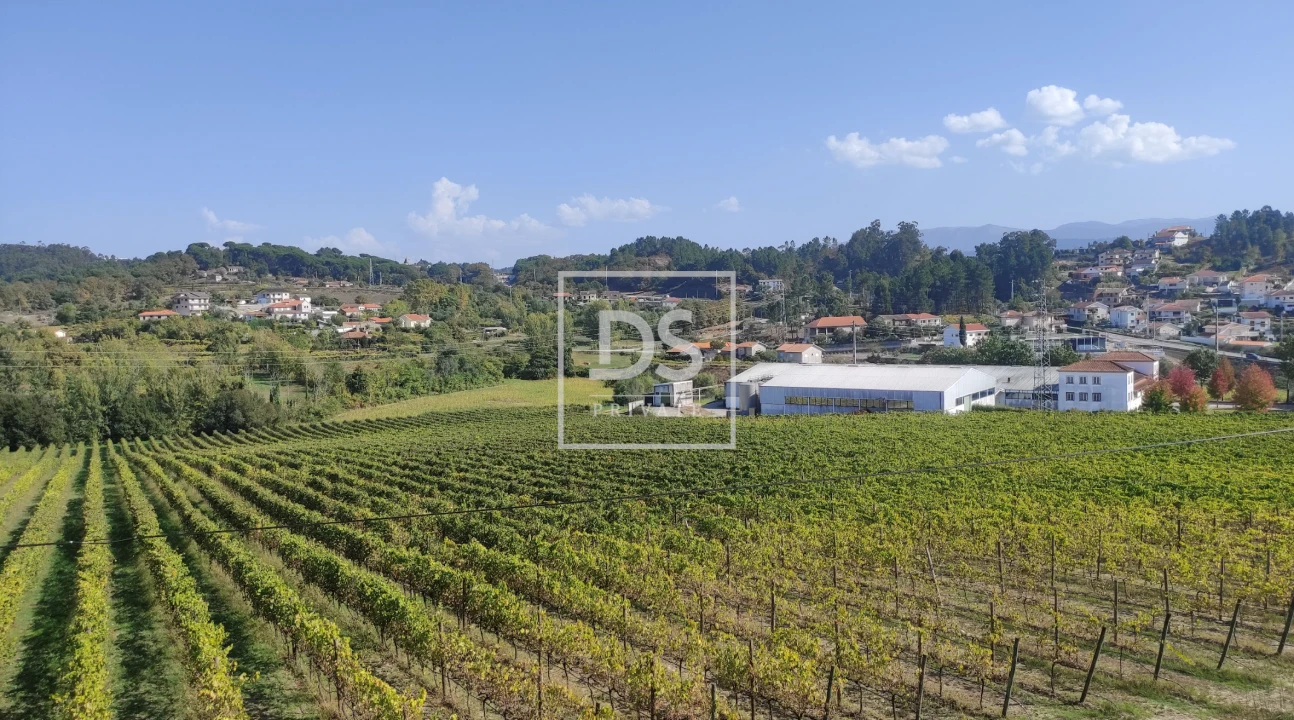 Terreno para Venda em Telões Foto 7