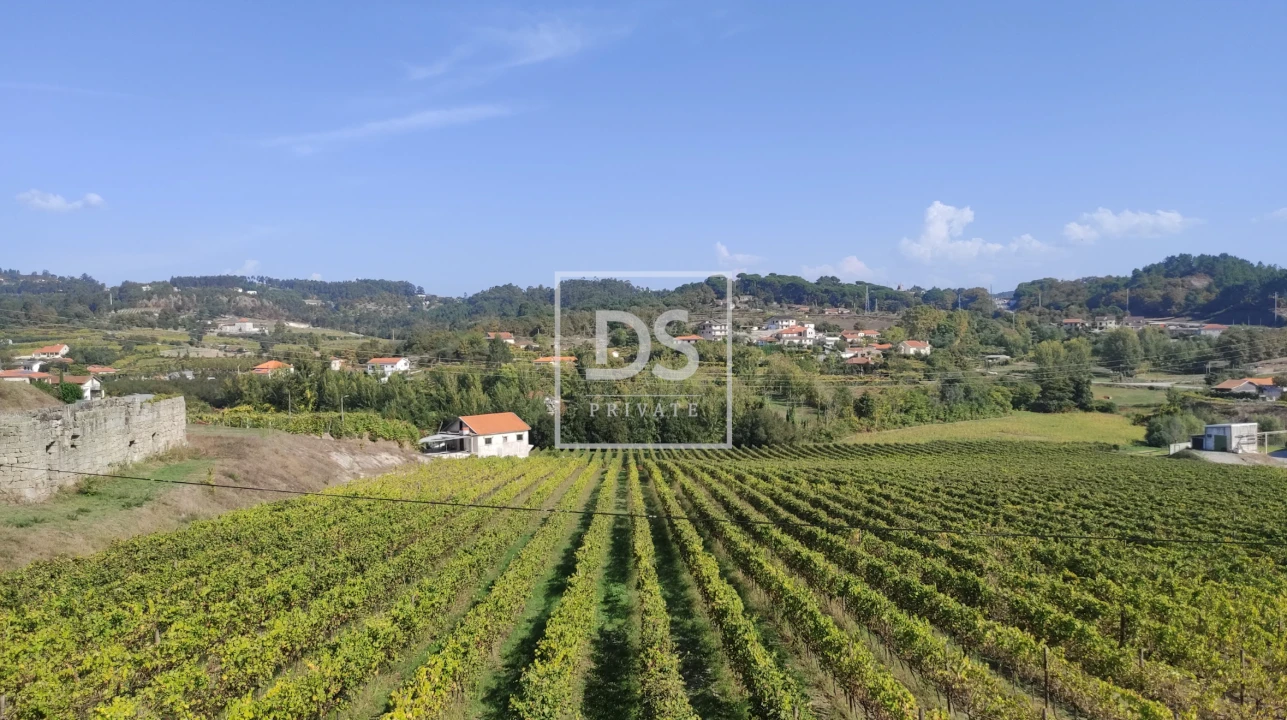 Terreno para Venda em Telões Foto 1