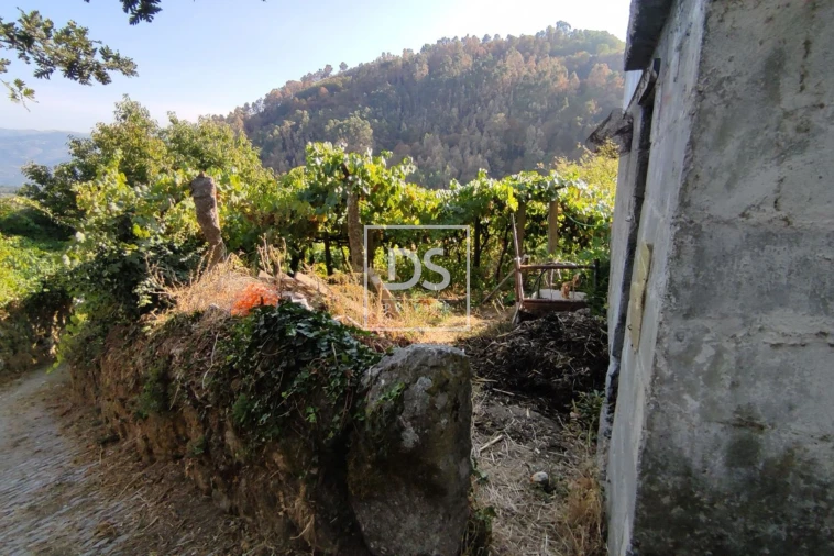 Moradia para Venda em Viariz Foto 8