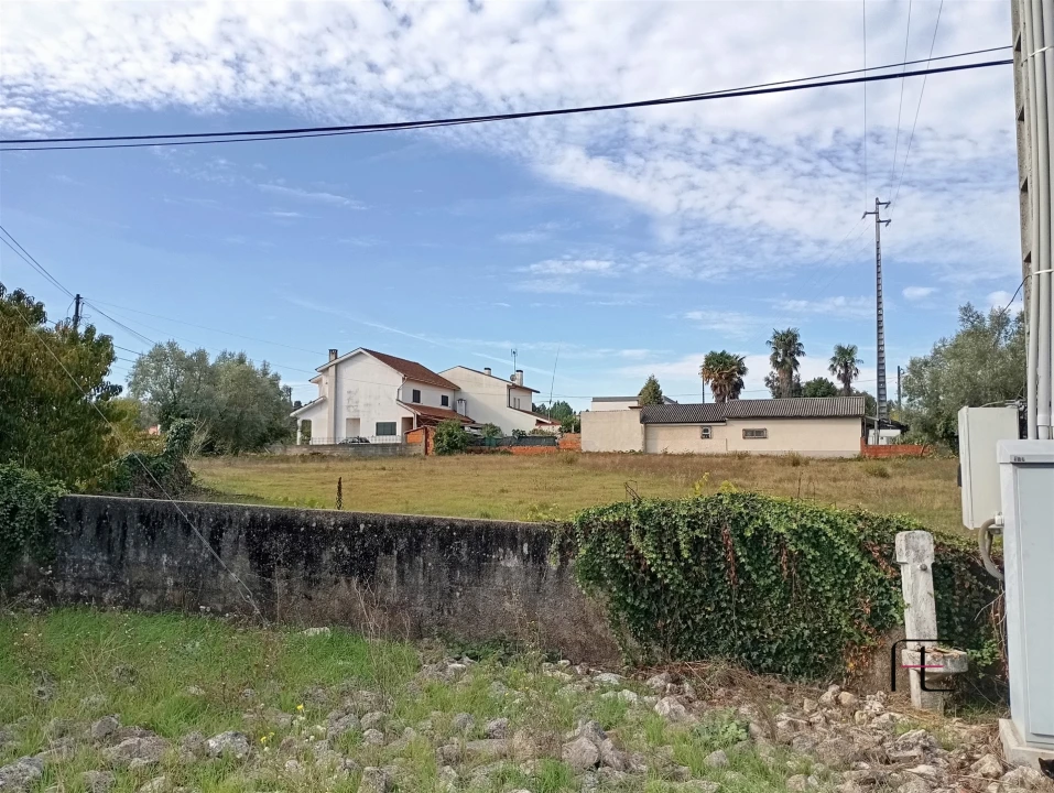 Terreno Agricola ou Rústico para Venda em Recardães e Espinhel Foto 5
