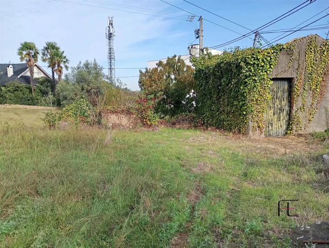 Terreno Agricola ou Rústico para Venda em Recardães e Espinhel Foto 3