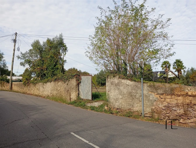 Terreno Agricola ou Rústico para Venda em Recardães e Espinhel Foto 2