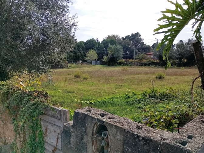 Terreno Agricola ou Rústico para Venda em Recardães e Espinhel Foto 4