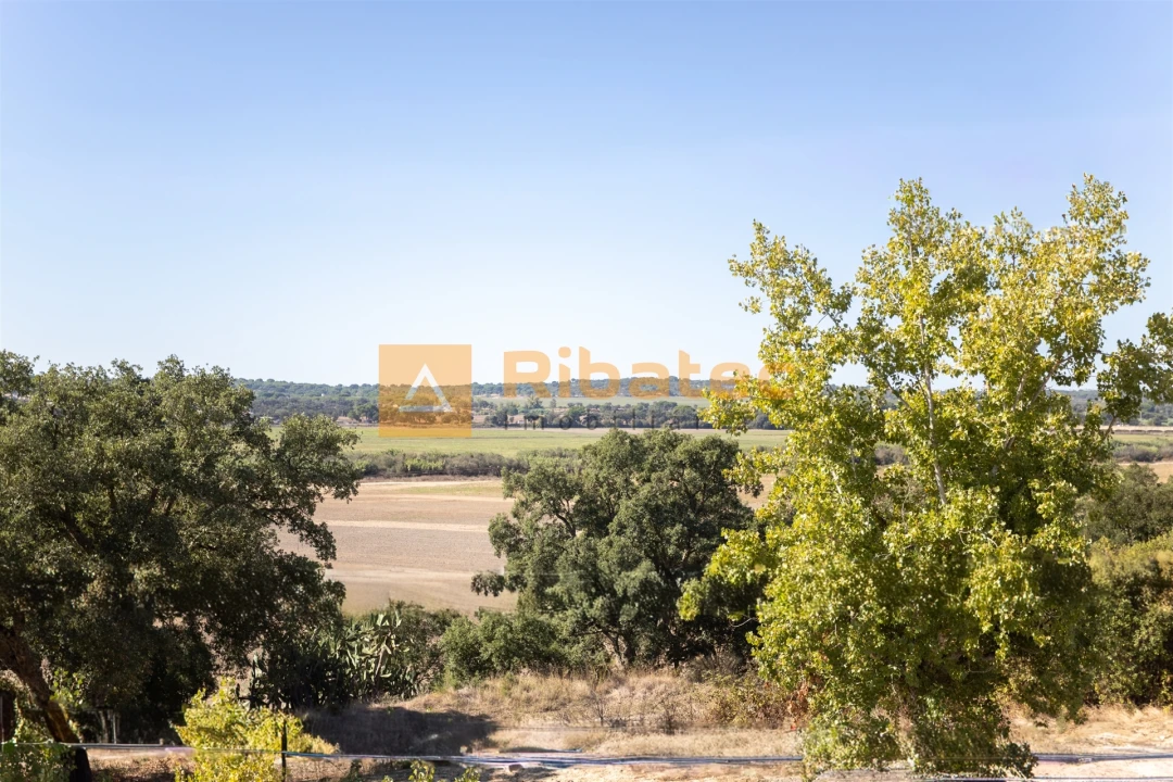 Moradia T3 para Venda em Couço Foto 33