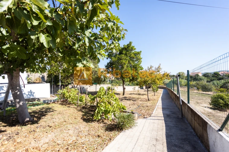 Moradia T3 para Venda em Couço Foto 24