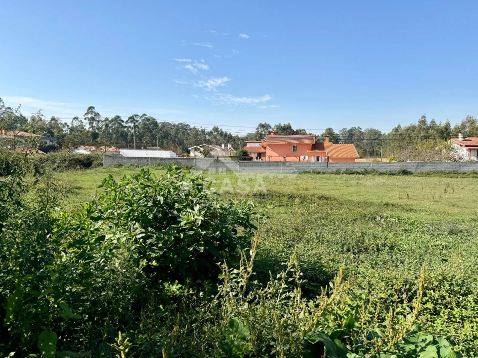 Terreno para Venda em Valega Foto 2