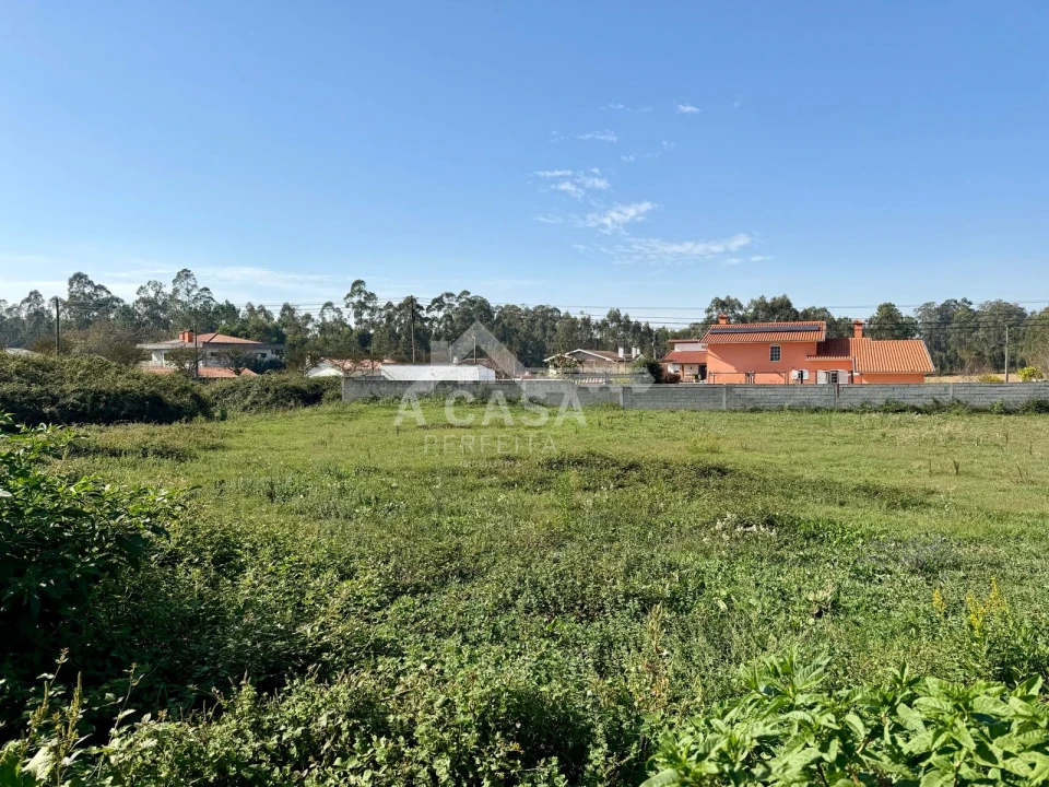 Terreno para Venda em Valega Foto 1
