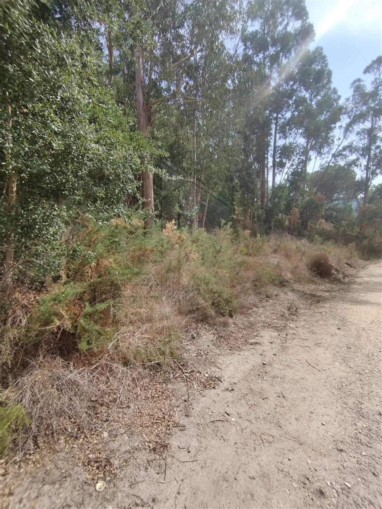 Terreno para Venda em Crespos e Pousada Foto 7