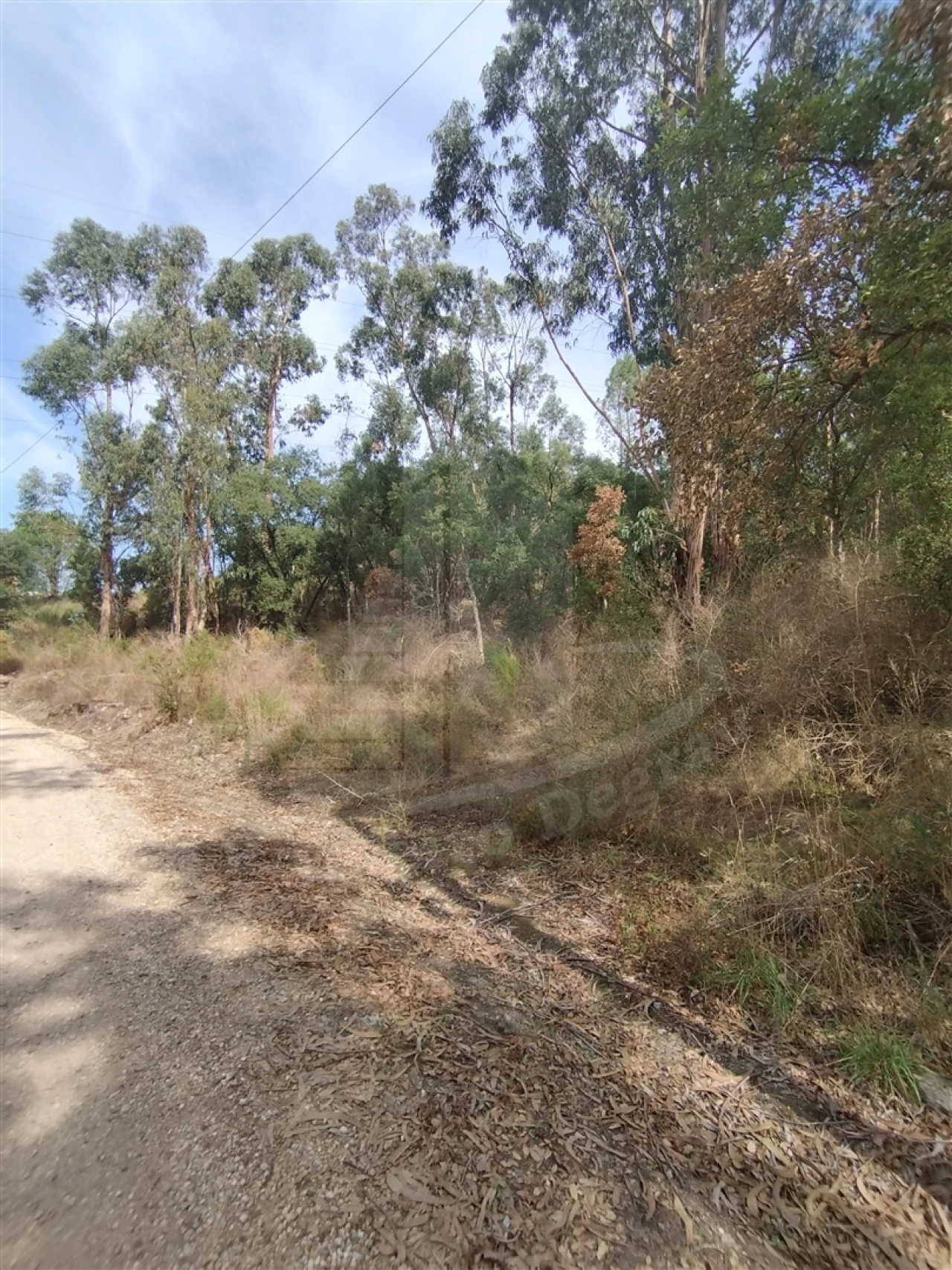 Terreno para Venda em Crespos e Pousada Foto 4