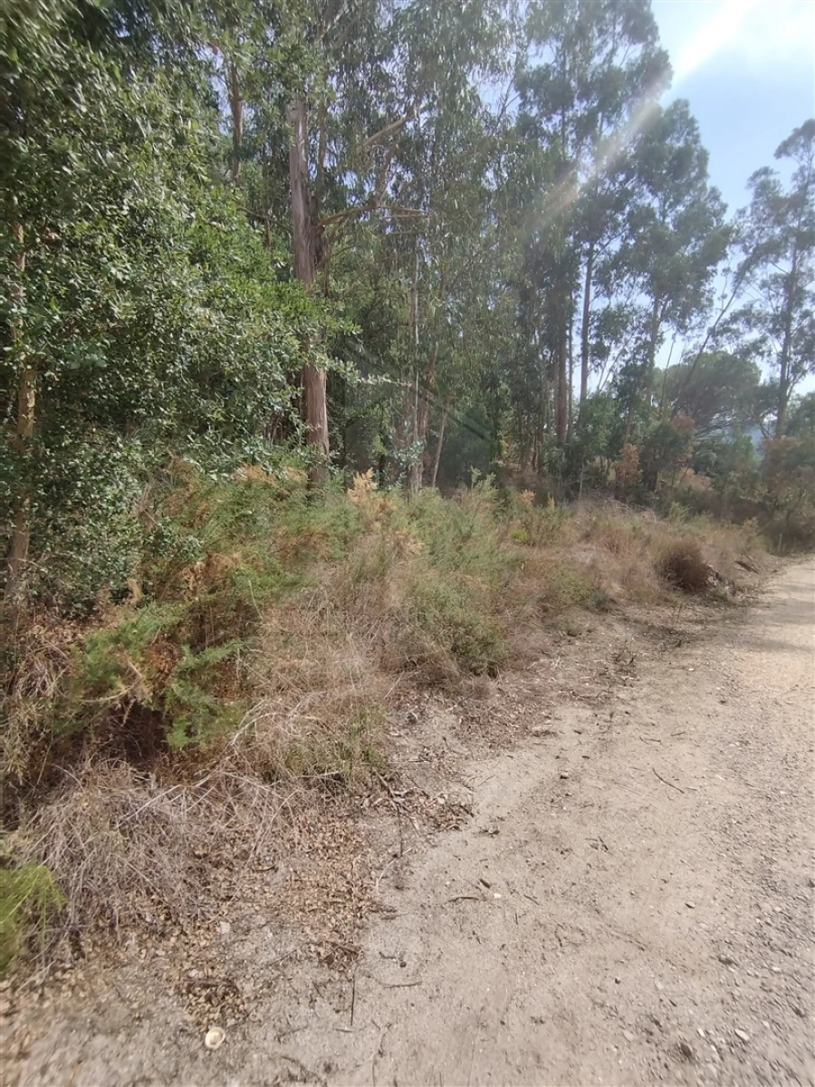 Terreno para Venda em Crespos e Pousada Foto 7