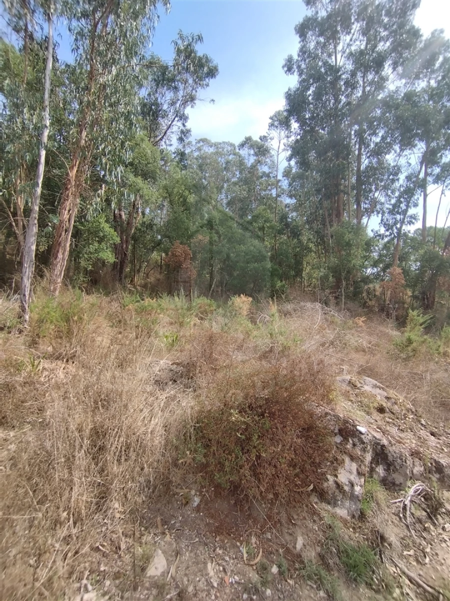 Terreno para Venda em Crespos e Pousada
