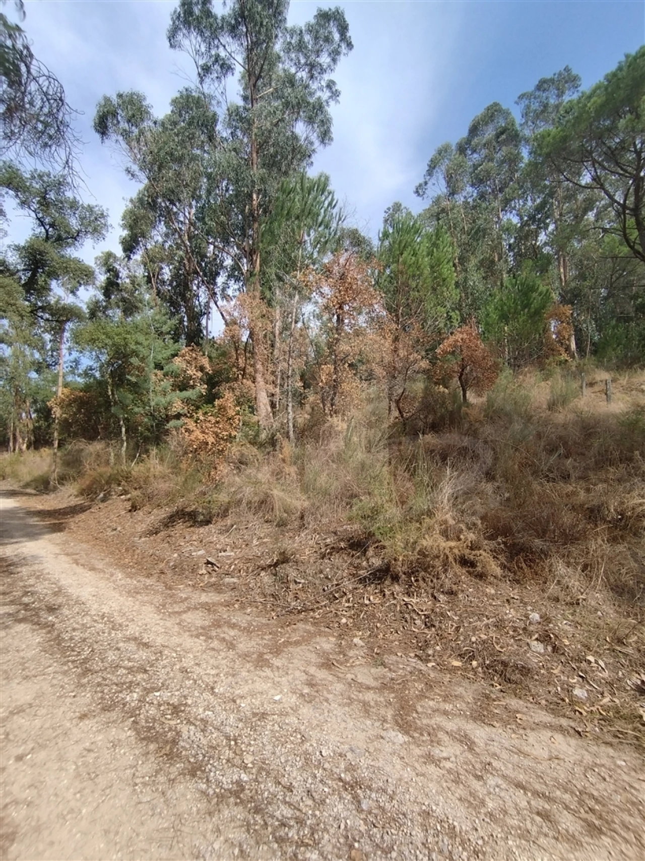 Terreno para Venda em Crespos e Pousada Foto 3