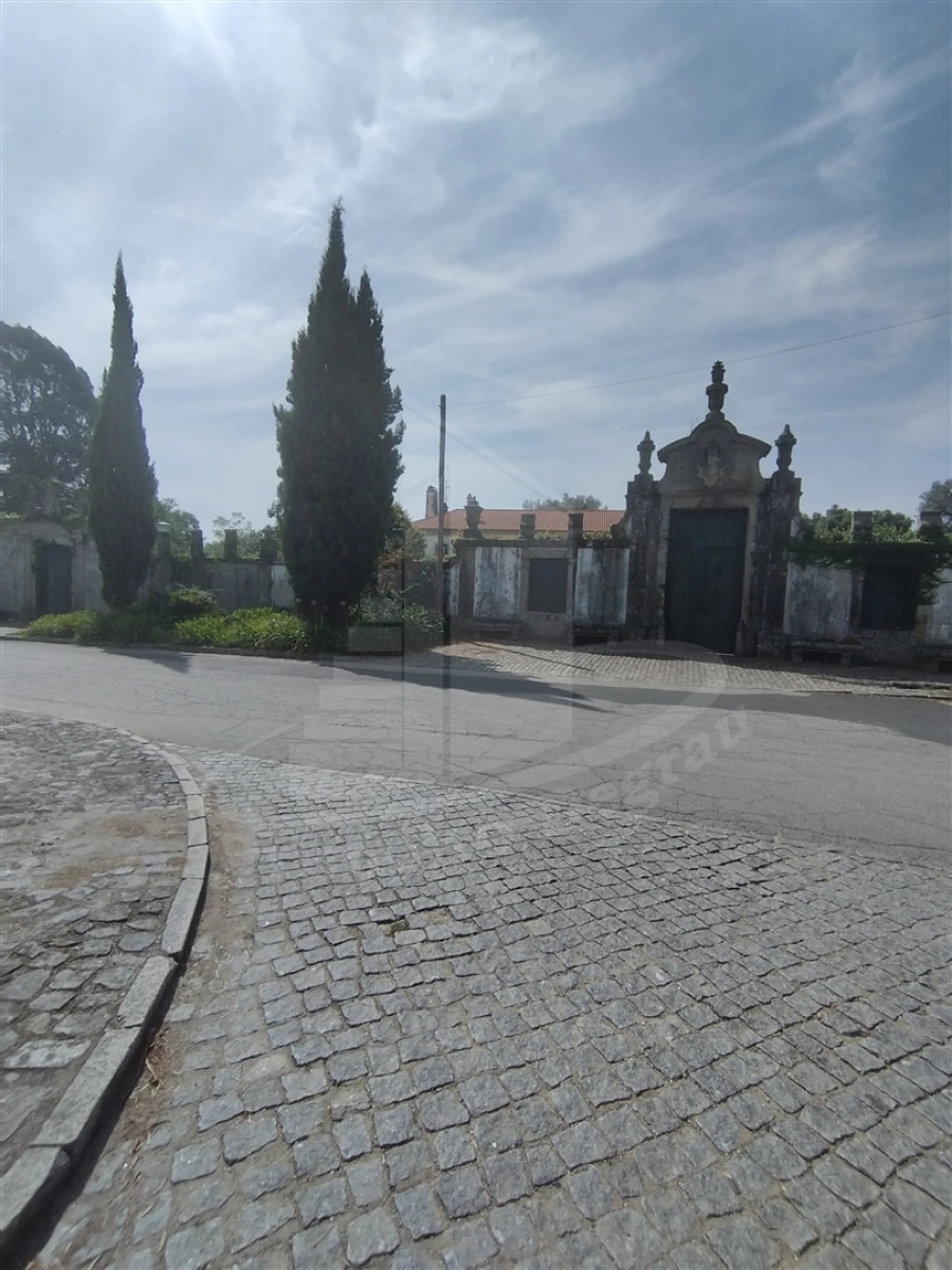 Quinta T4 para Venda em Palmeira Foto 11