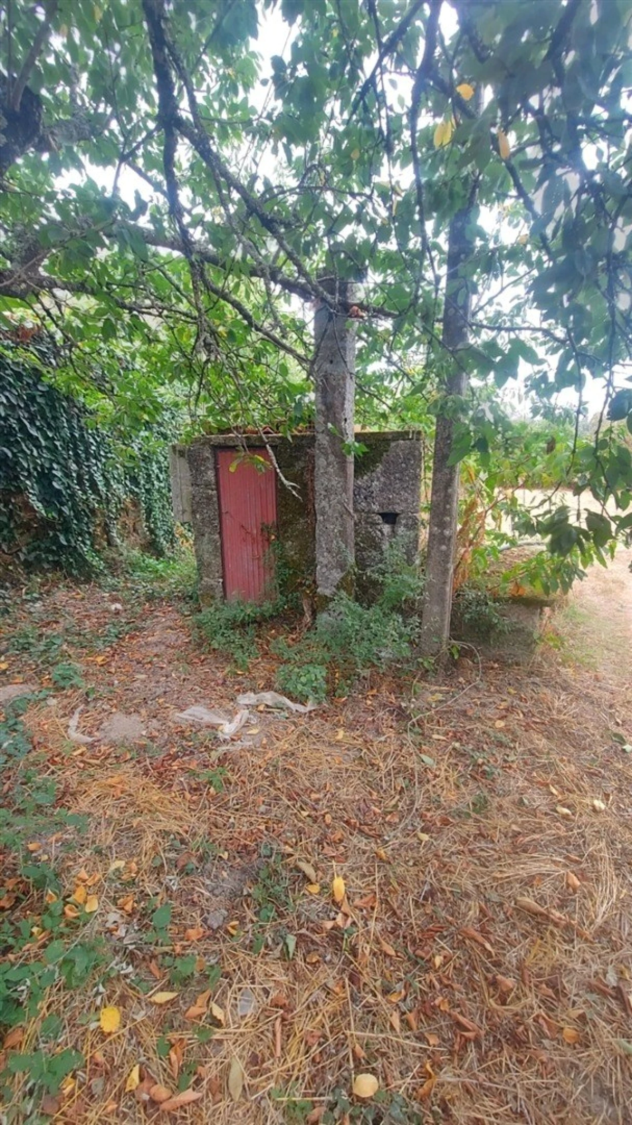 Quinta T0 para Venda em Paranhos Foto 18