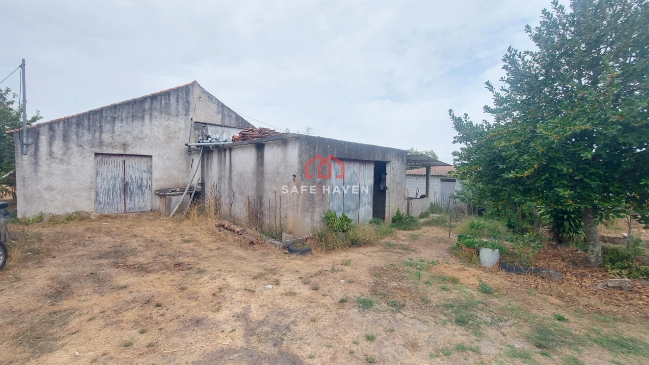 Quinta T0 para Venda em Paranhos Foto 1