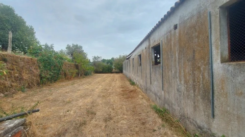 Quinta T0 para Venda em Paranhos