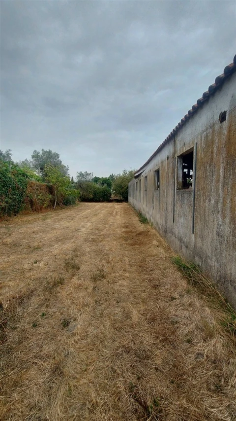 Quinta T0 para Venda em Paranhos