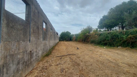Quinta T0 para Venda em Paranhos