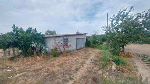 Quinta T0 para Venda em Paranhos