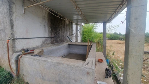 Quinta T0 para Venda em Paranhos