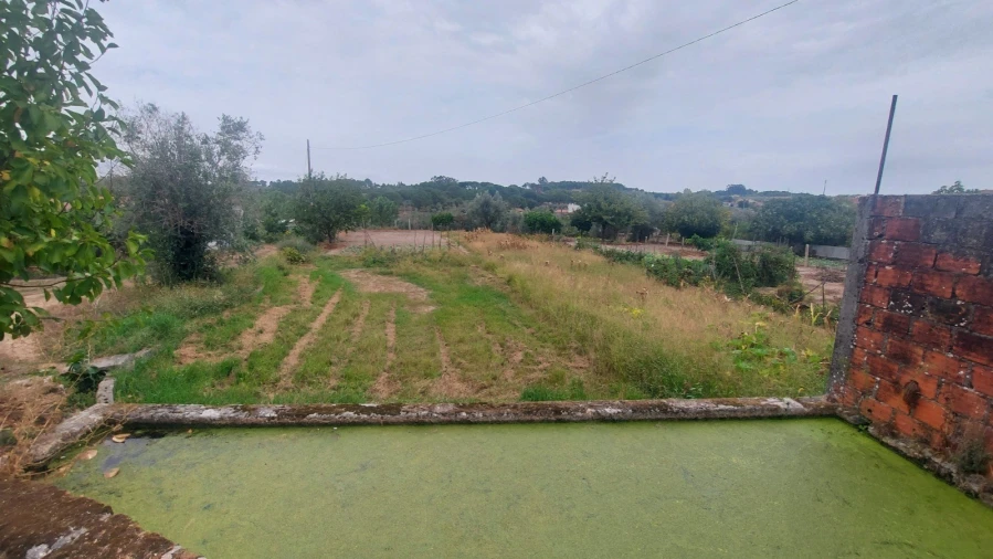 Quinta T0 para Venda em Paranhos Foto 15