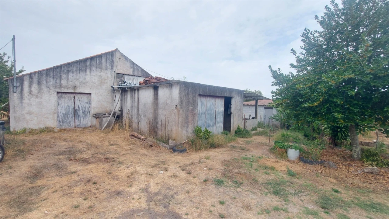 Quinta T0 para Venda em Paranhos Foto 13