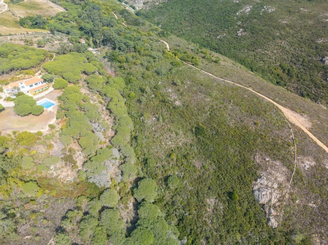 Terreno Agricola ou Rústico para Venda em Colares Foto 6