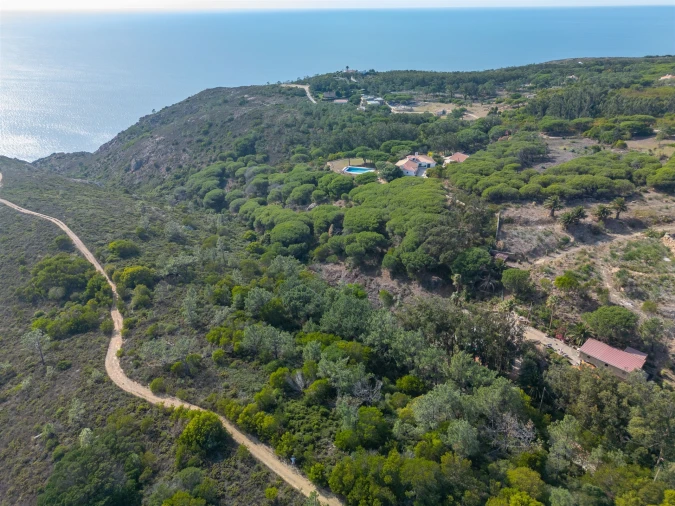 Terreno Agricola ou Rústico para Venda em Colares Foto 2