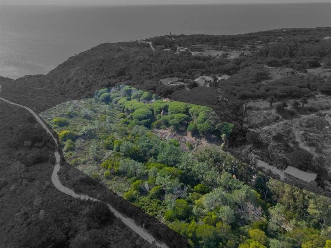 Terreno Agricola ou Rústico para Venda em Colares Foto 9