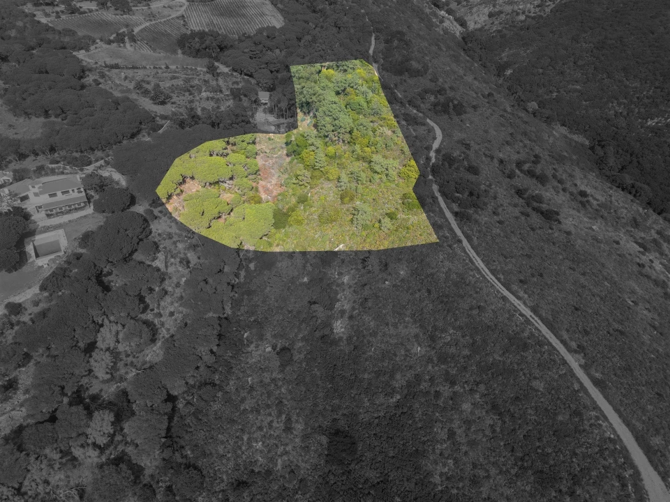 Terreno Agricola ou Rústico para Venda em Colares Foto 7