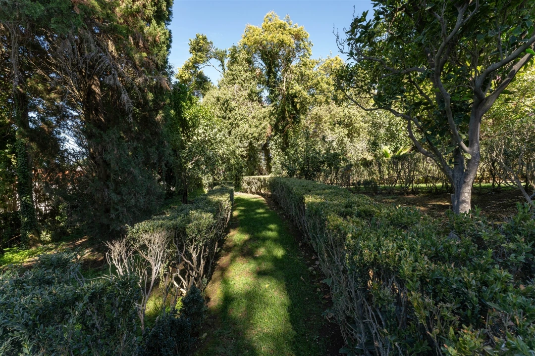 Quinta T15 para Venda em Carcavelos e Parede Foto 43