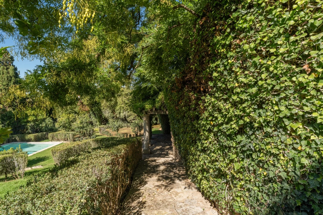 Quinta T15 para Venda em Carcavelos e Parede Foto 39