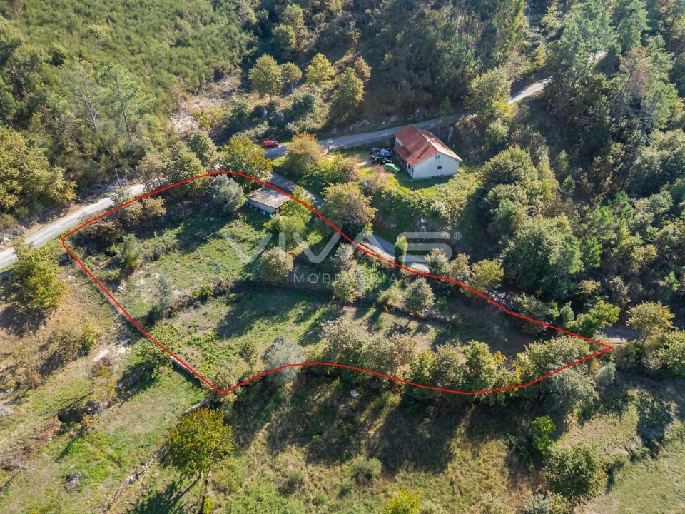 Terreno Agricola ou Rústico para Venda em Sande, Vilarinho, Barros e Gomide Foto 3