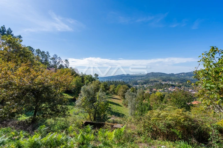 Terreno Agricola ou Rústico para Venda em Sande, Vilarinho, Barros e Gomide Foto 12
