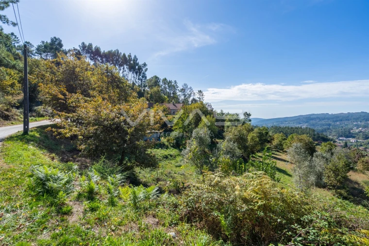 Terreno Agricola ou Rústico para Venda em Sande, Vilarinho, Barros e Gomide Foto 11