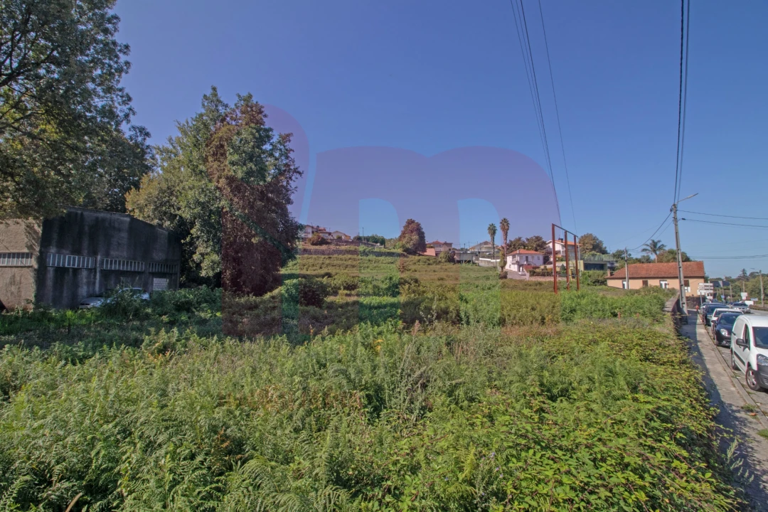 Terreno para Venda em São Tomé de Negrelos Foto 13