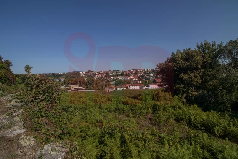 Terreno para Venda em São Tomé de Negrelos Foto 5