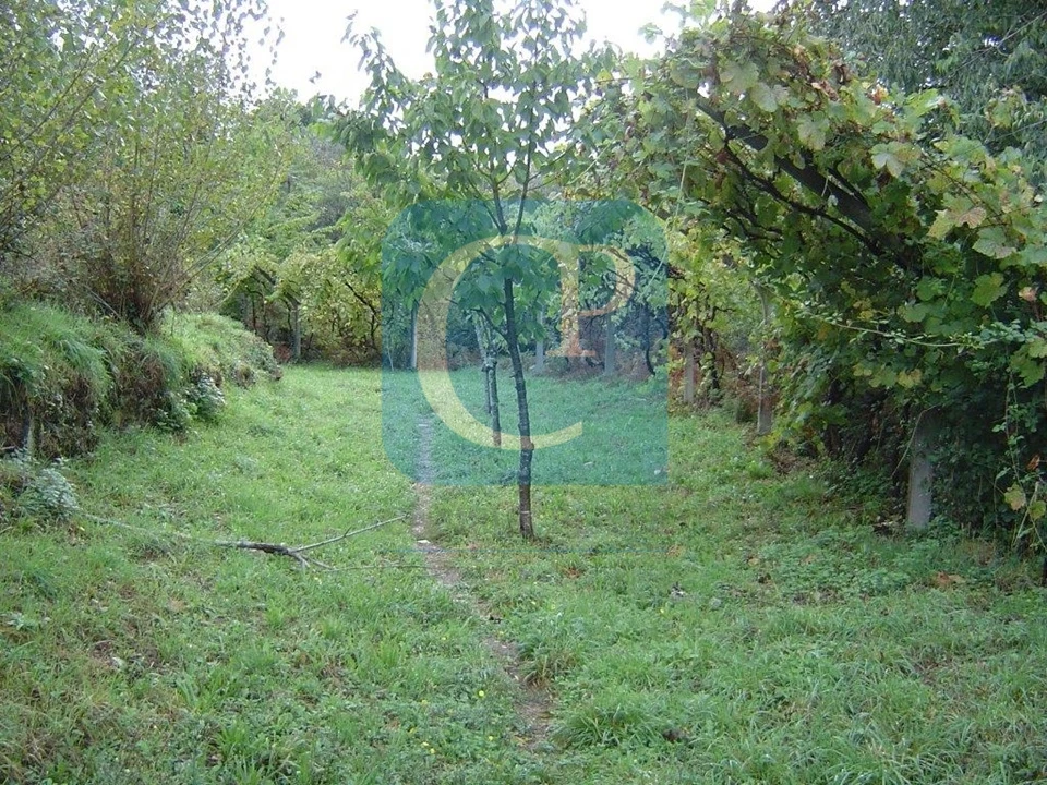 Terreno para Venda em São Cristovão de Nogueira Foto 12