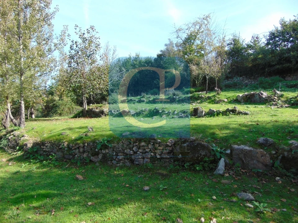 Terreno para Venda em São Cristovão de Nogueira Foto 15