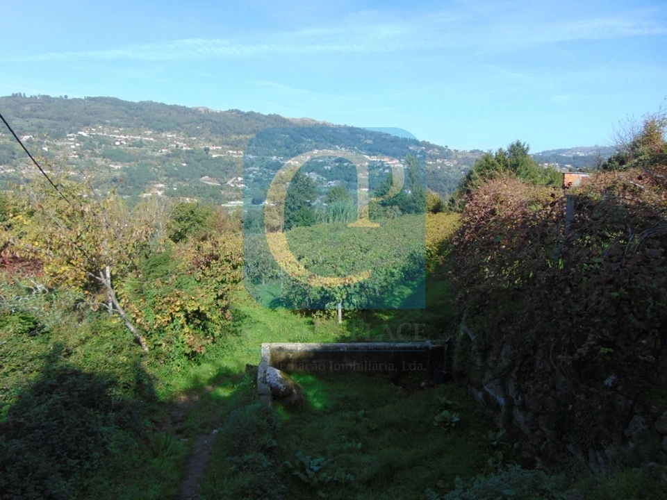 Terreno para Venda em São Cristovão de Nogueira Foto 8