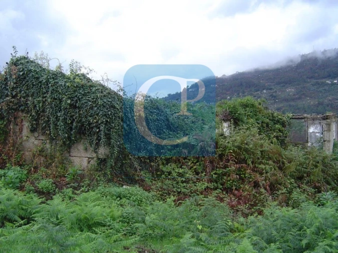 Terreno para Venda em São Cristovão de Nogueira Foto 9