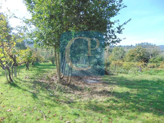 Terreno para Venda em São Cristovão de Nogueira Foto 2