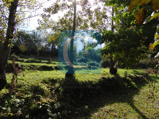 Terreno para Venda em São Cristovão de Nogueira Foto 14