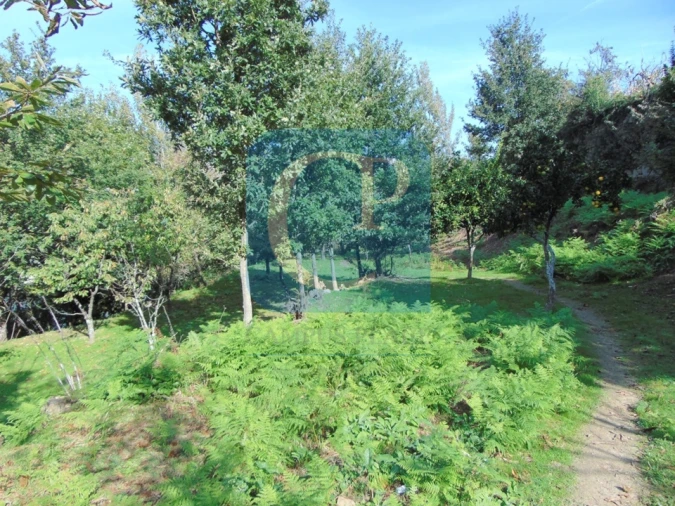 Terreno para Venda em São Cristovão de Nogueira Foto 16