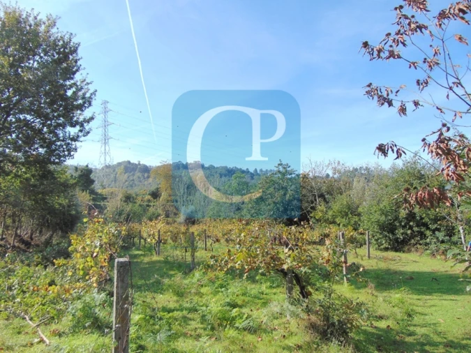 Terreno para Venda em São Cristovão de Nogueira Foto 3