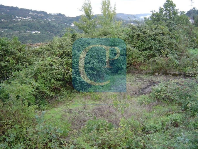 Terreno para Venda em São Cristovão de Nogueira Foto 11