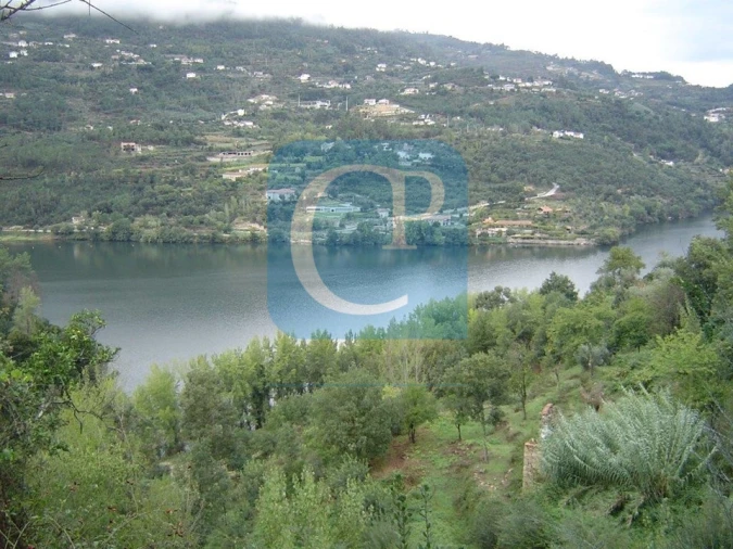 Terreno para Venda em São Cristovão de Nogueira Foto 1