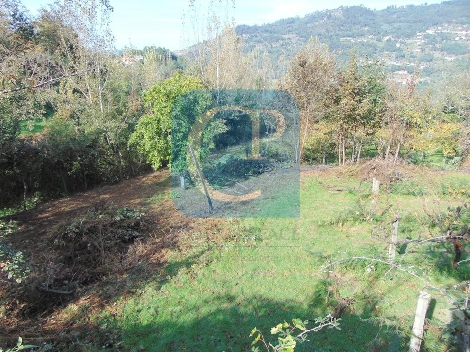 Terreno para Venda em São Cristovão de Nogueira Foto 6